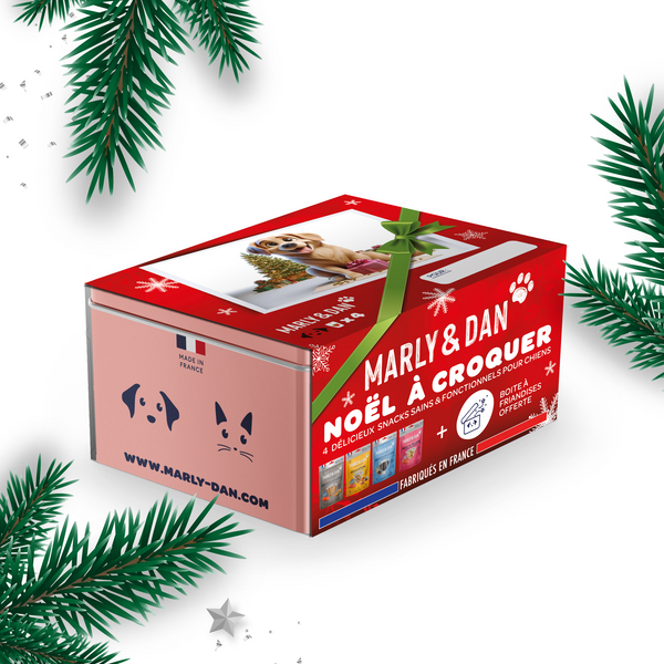 Coffret de Noël pour Chien – Édition Limitée Marly & Dan