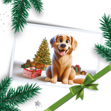 Coffret de Noël pour Chien – Édition Limitée Marly & Dan