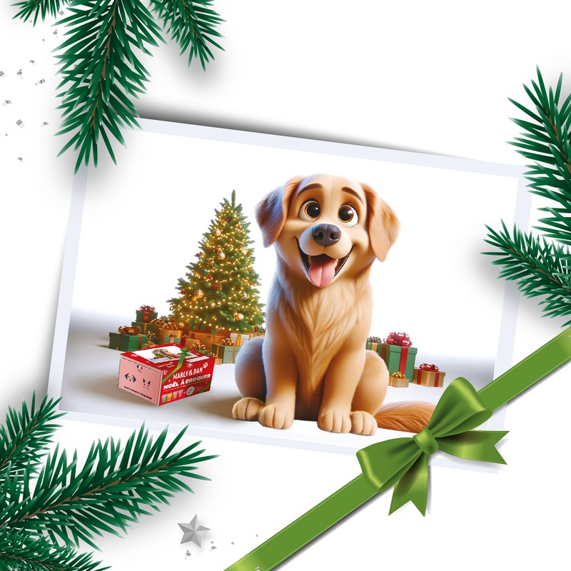 Coffret de Noël pour Chien – Édition Limitée Marly & Dan