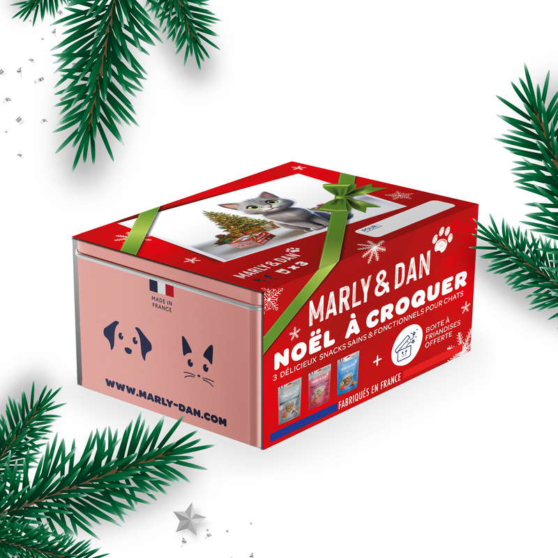 Coffret de Noël pour Chat – Édition Limitée Marly & Dan