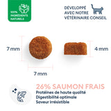 Croquettes pour Chaton  0.4 kg