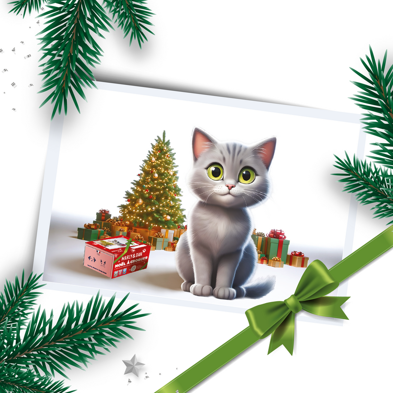 Coffret de Noël pour Chat – Édition Limitée Marly & Dan