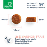 Croquettes Chat Adulte Stérilisé