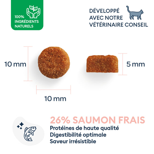 Croquettes Chat Adulte Stérilisé 0.4 kg