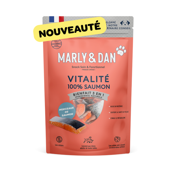 Friandises pour chien Vitalité 100% Saumon