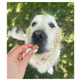 Senior-Snacks für Hunde