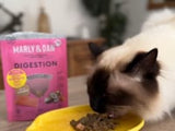 Digestion Treats for Cat