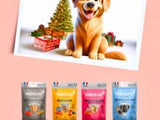 Coffret de Noël pour Chien – Édition Limitée Marly & Dan